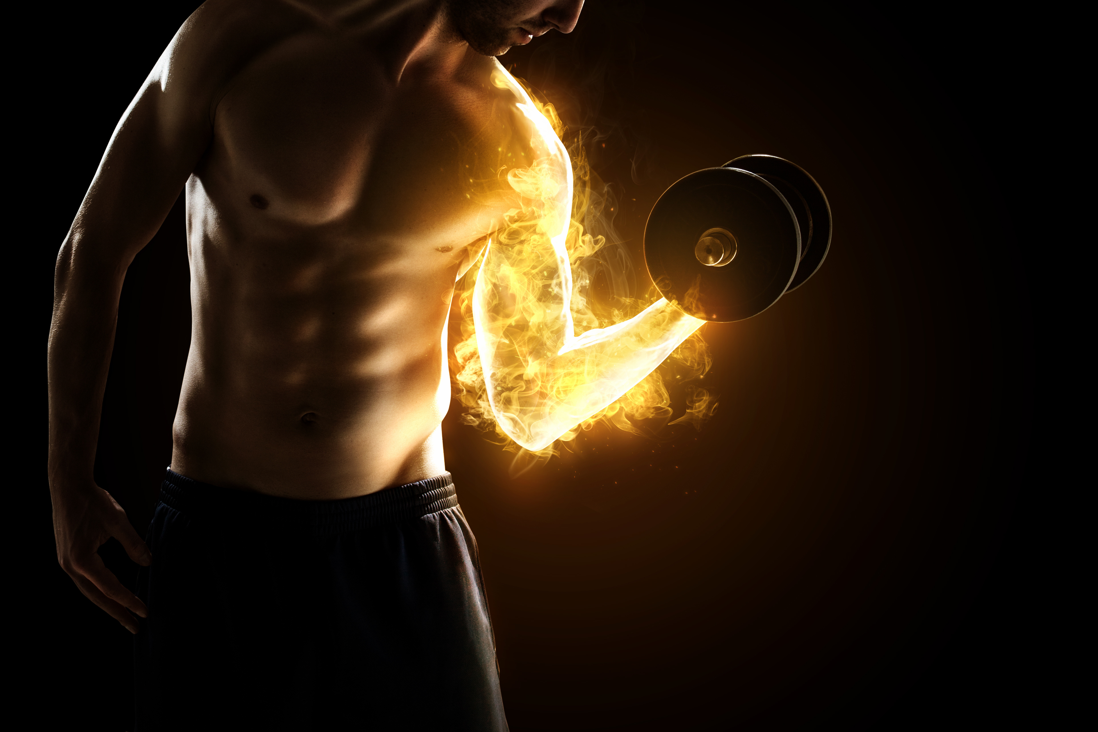 Energy, Endurance Life Force personal wellness training Alpharetta, GA